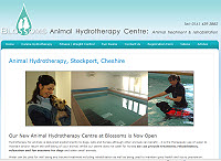 Visit our website