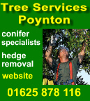 tree surgeons